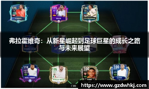 弗拉霍维奇：从新星崛起到足球巨星的成长之路与未来展望
